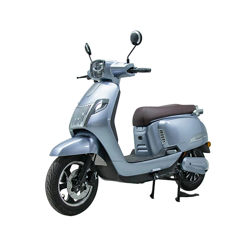 Električni motor za odrasle 10 -palčno motocikel 800 W