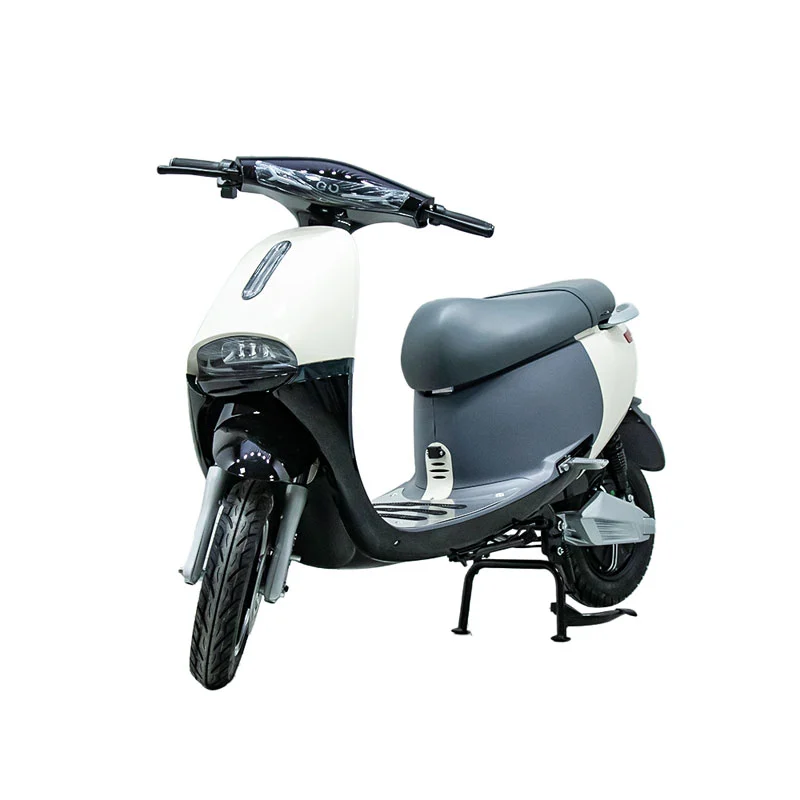 Električni motor z 10 -palčnim 1000W motociklom